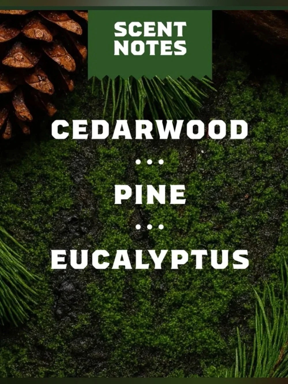 Dr. Squatch Bundle | Soothing Post Shave Pine Tar Moisturizing Vanilla Bourbon 1